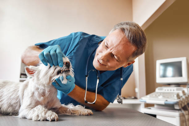 Best Emergency Tooth Extraction in Abernathy, TX